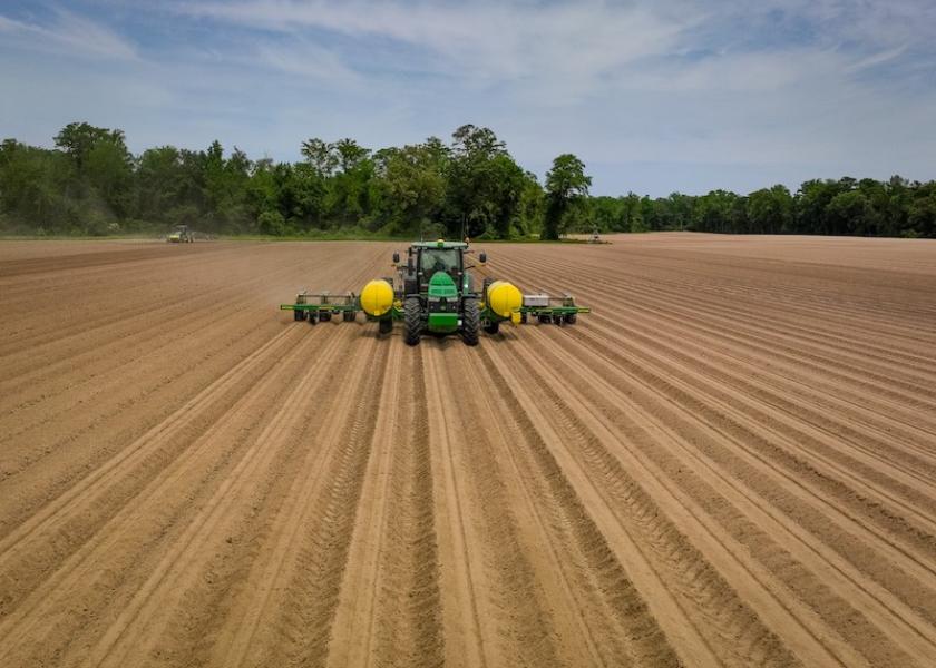 Carolina peanut expectations rise in 2023 The Packer